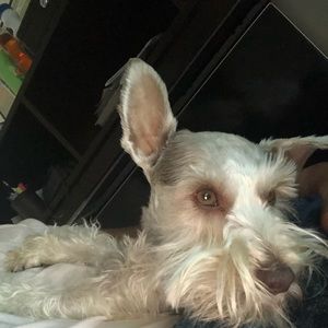 Meet your Posher, Valarie